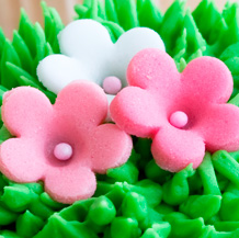 Flores de Azúcar
