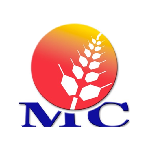 MC Store